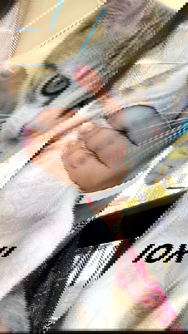 shelly_.mor image ~ Altpins