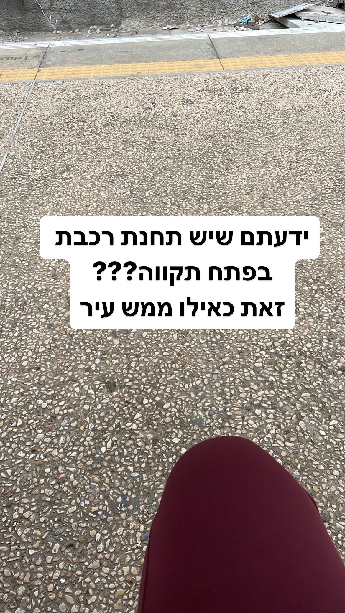 shelly_.mor instagram image archive image