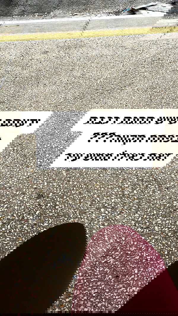 shelly_.mor image ~ Altpins