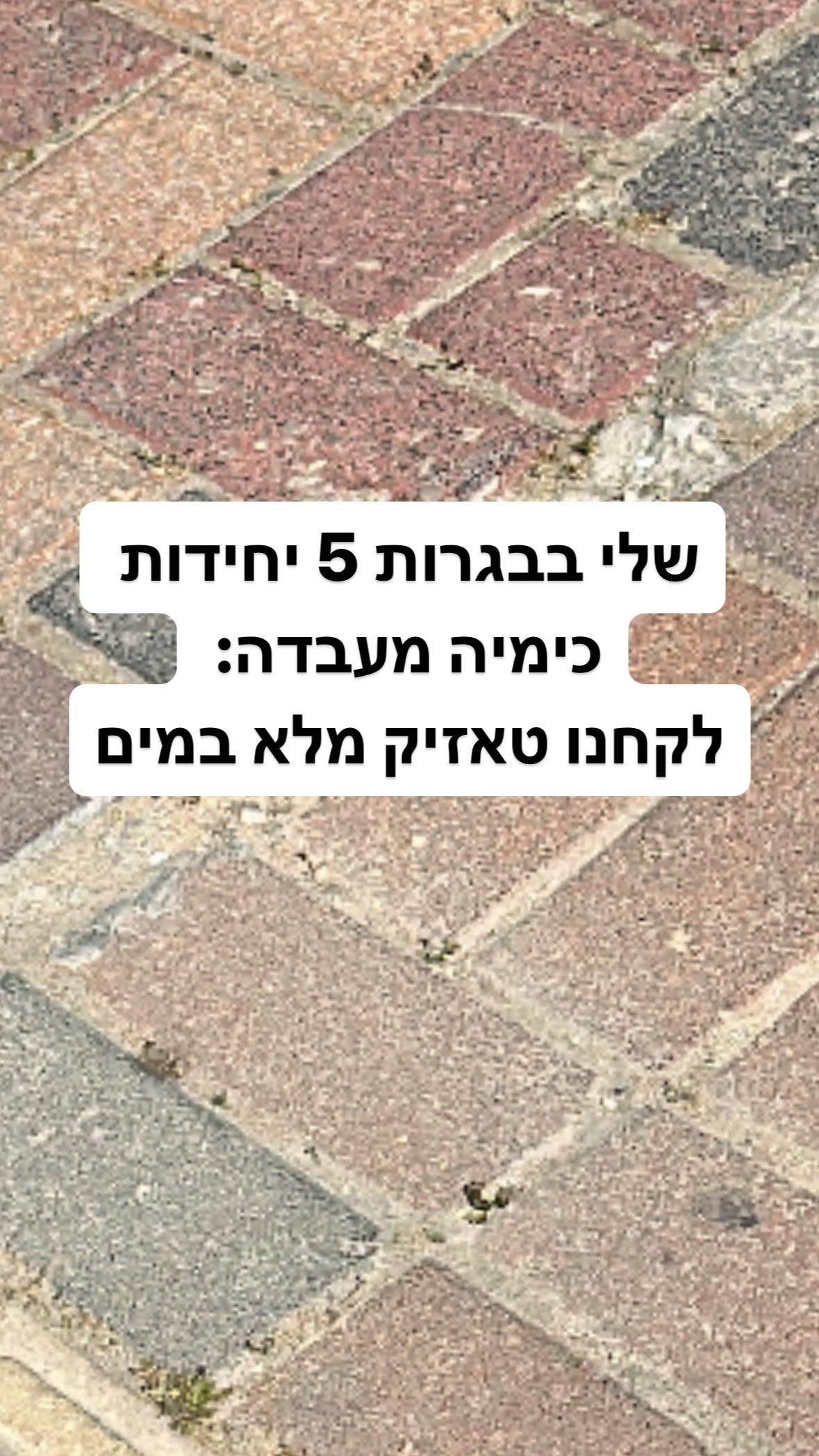 shelly_.mor instagram image archive image