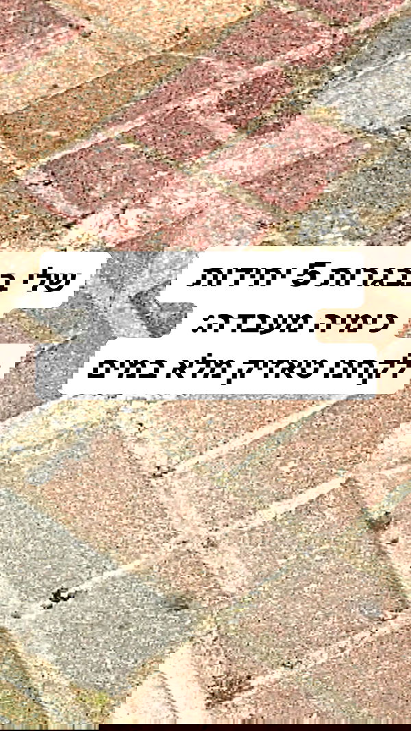 shelly_.mor image ~ Altpins