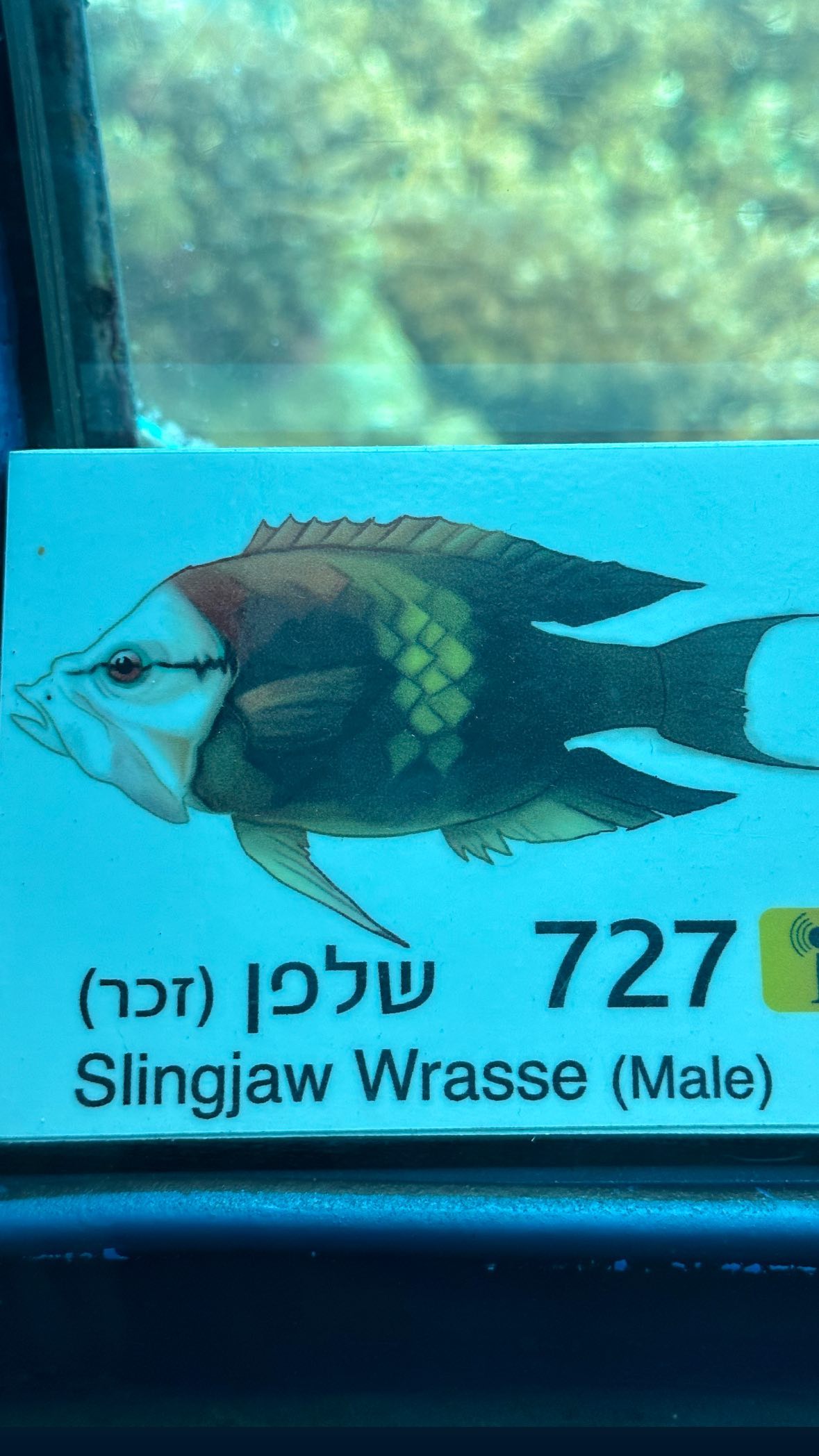 shelly_.mor instagram image archive image