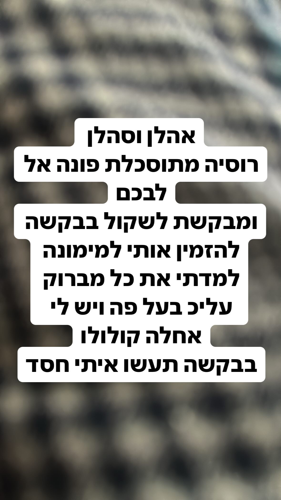 shelly_.mor instagram image archive image