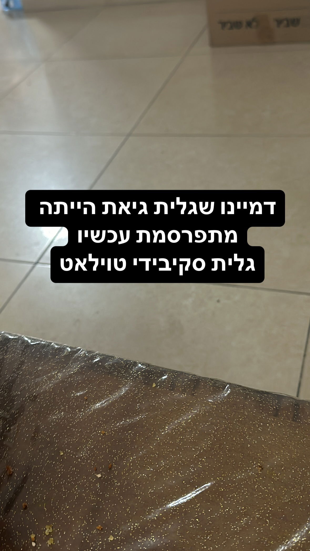 shelly_.mor instagram image archive image