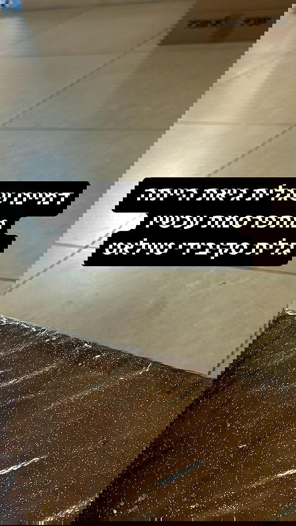 shelly_.mor image ~ Altpins