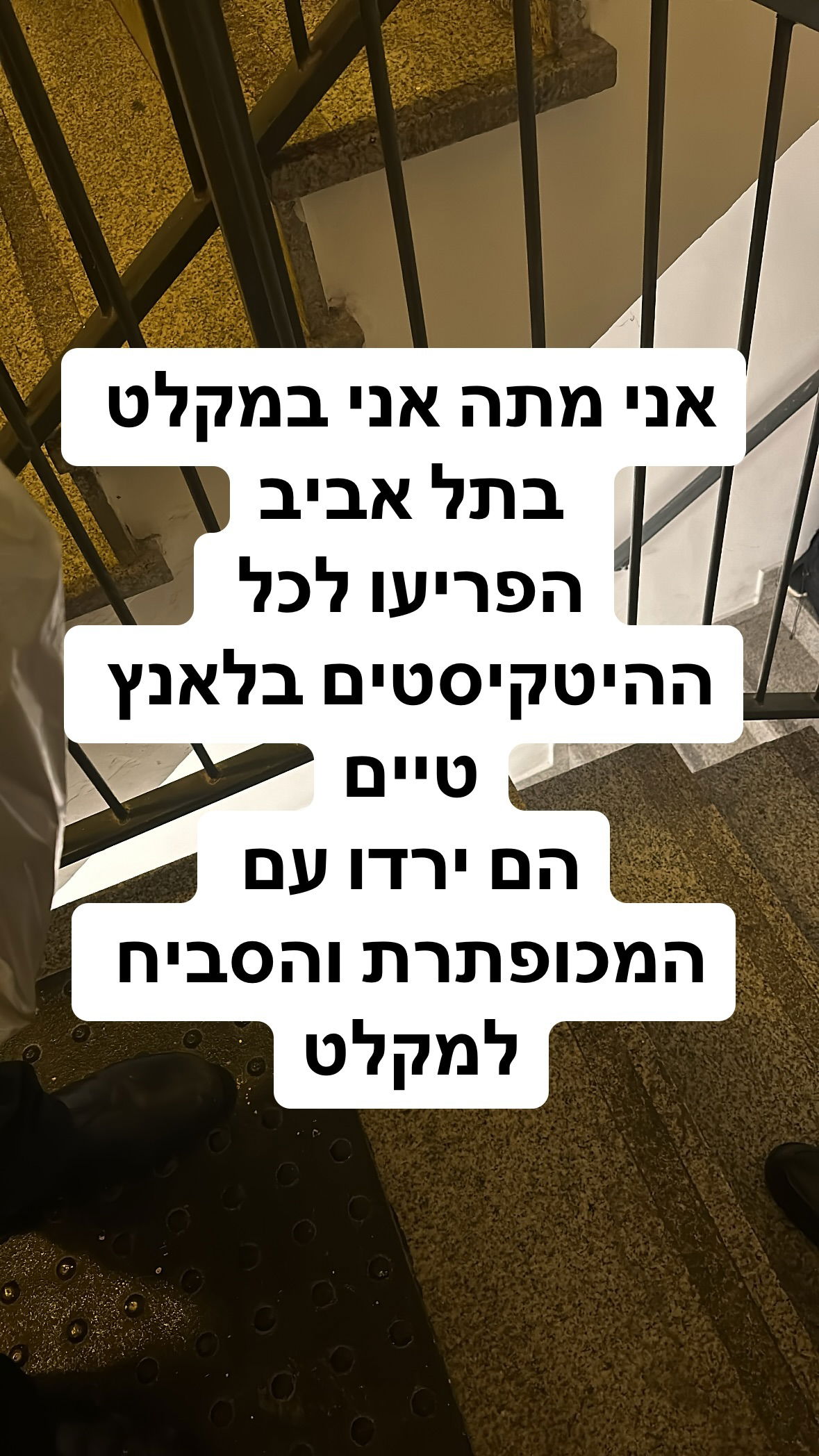 shelly_.mor instagram image archive image