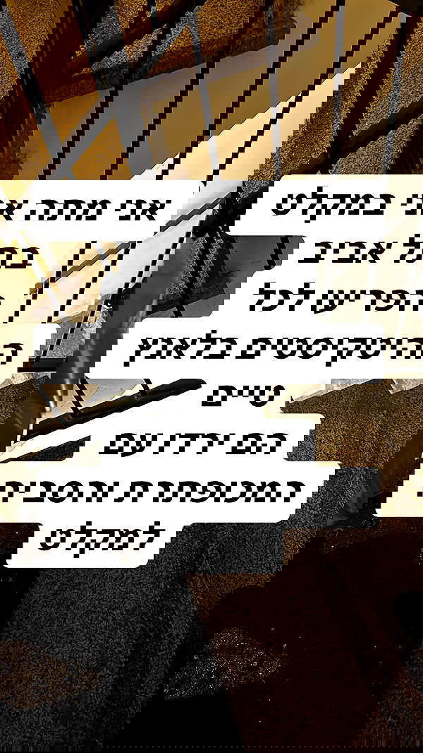 shelly_.mor image ~ Altpins