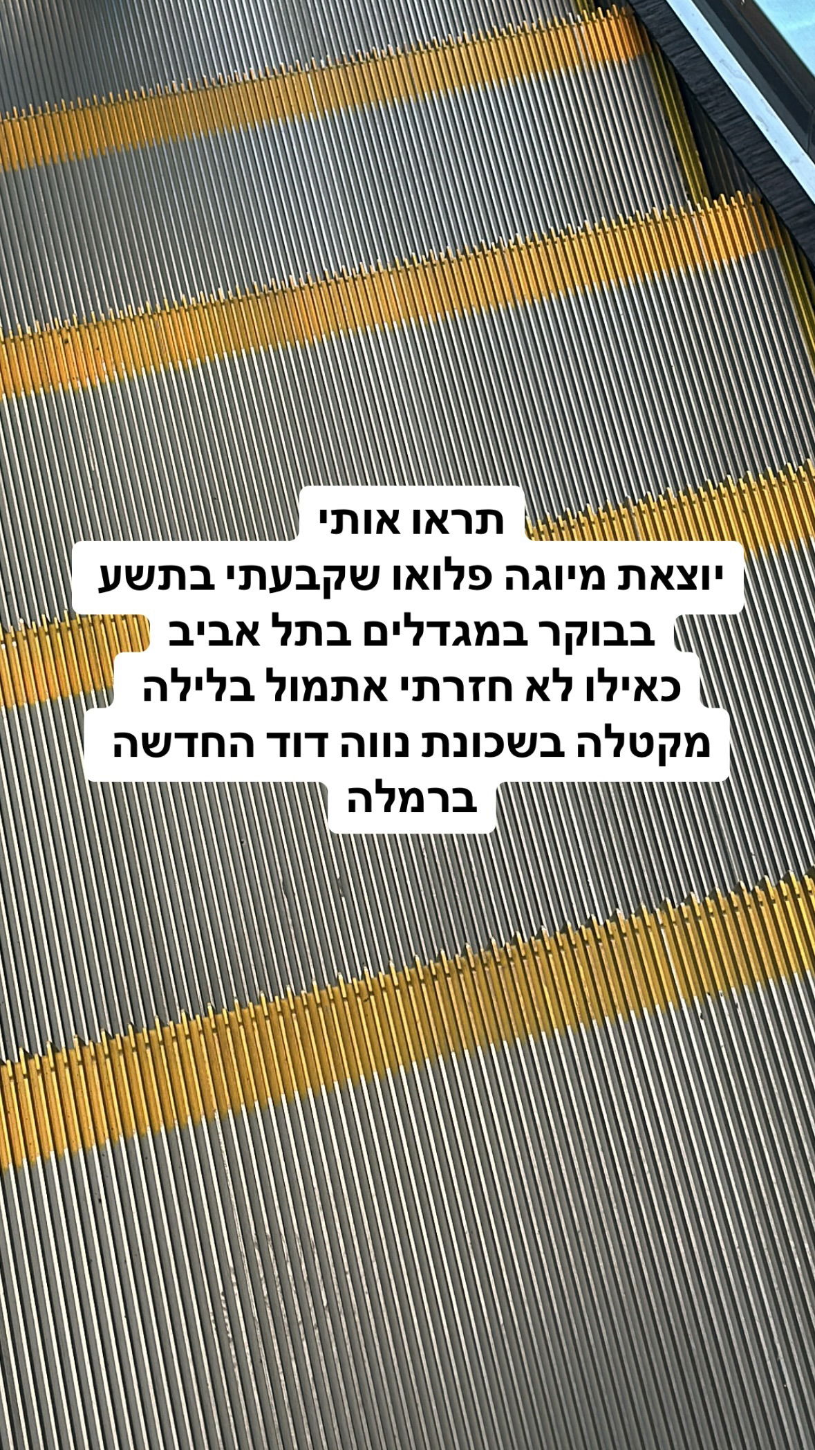 shelly_.mor instagram image archive image