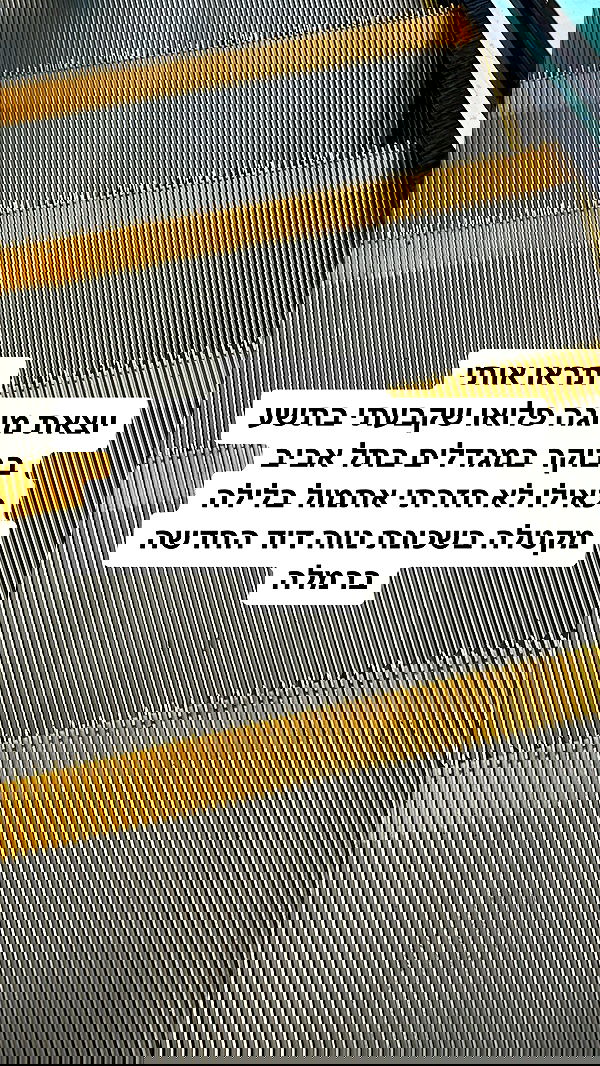 shelly_.mor image ~ Altpins