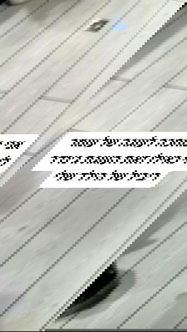 shelly_.mor image ~ Altpins