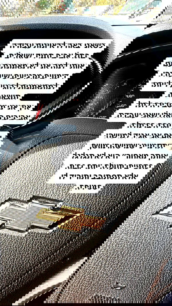 shelly_.mor image ~ Altpins