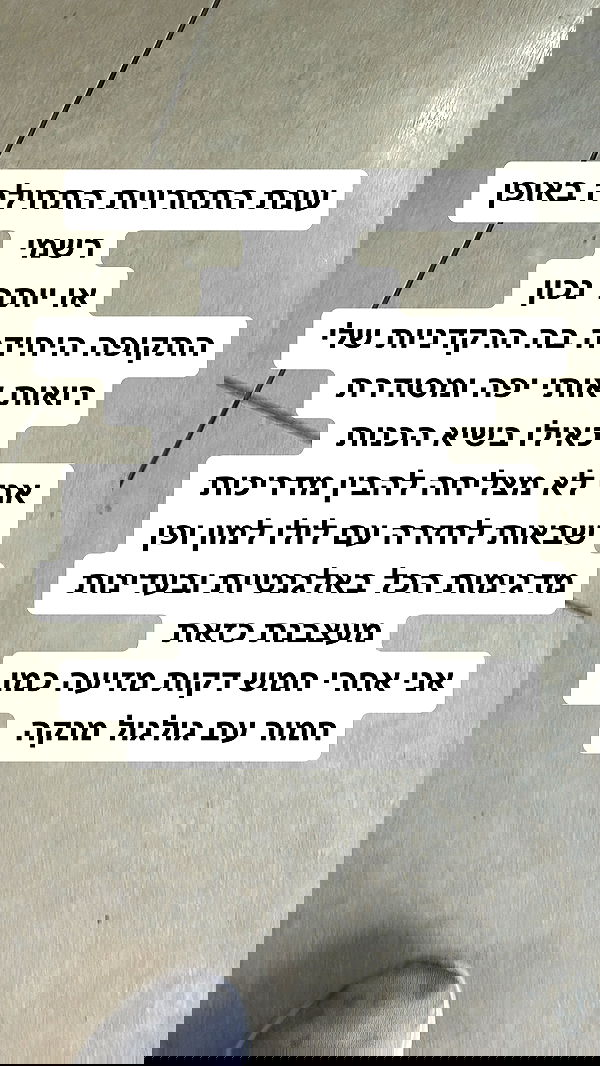 shelly_.mor image ~ Altpins