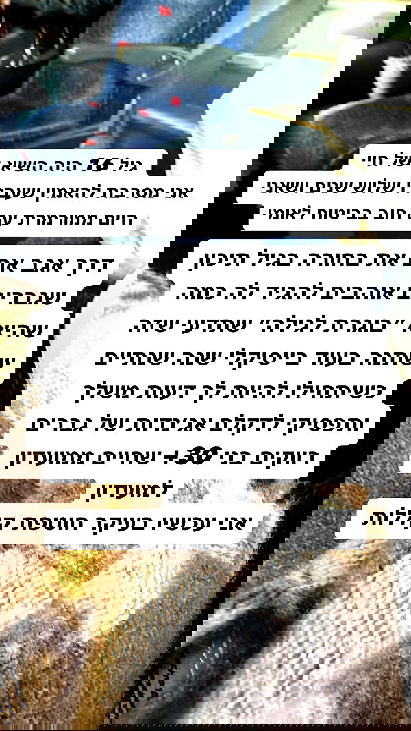 shelly_.mor image ~ Altpins