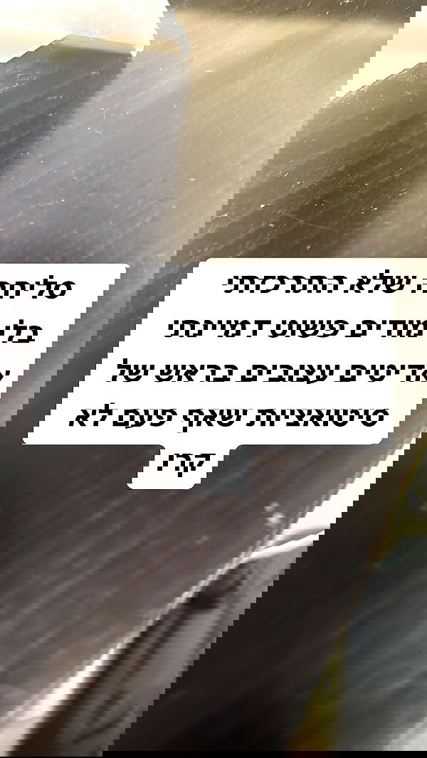 shelly_.mor image ~ Altpins