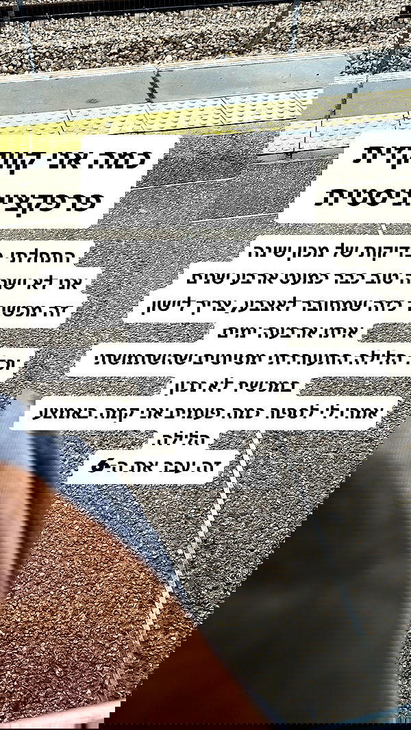 shelly_.mor image ~ Altpins