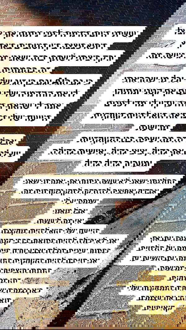 shelly_.mor image ~ Altpins