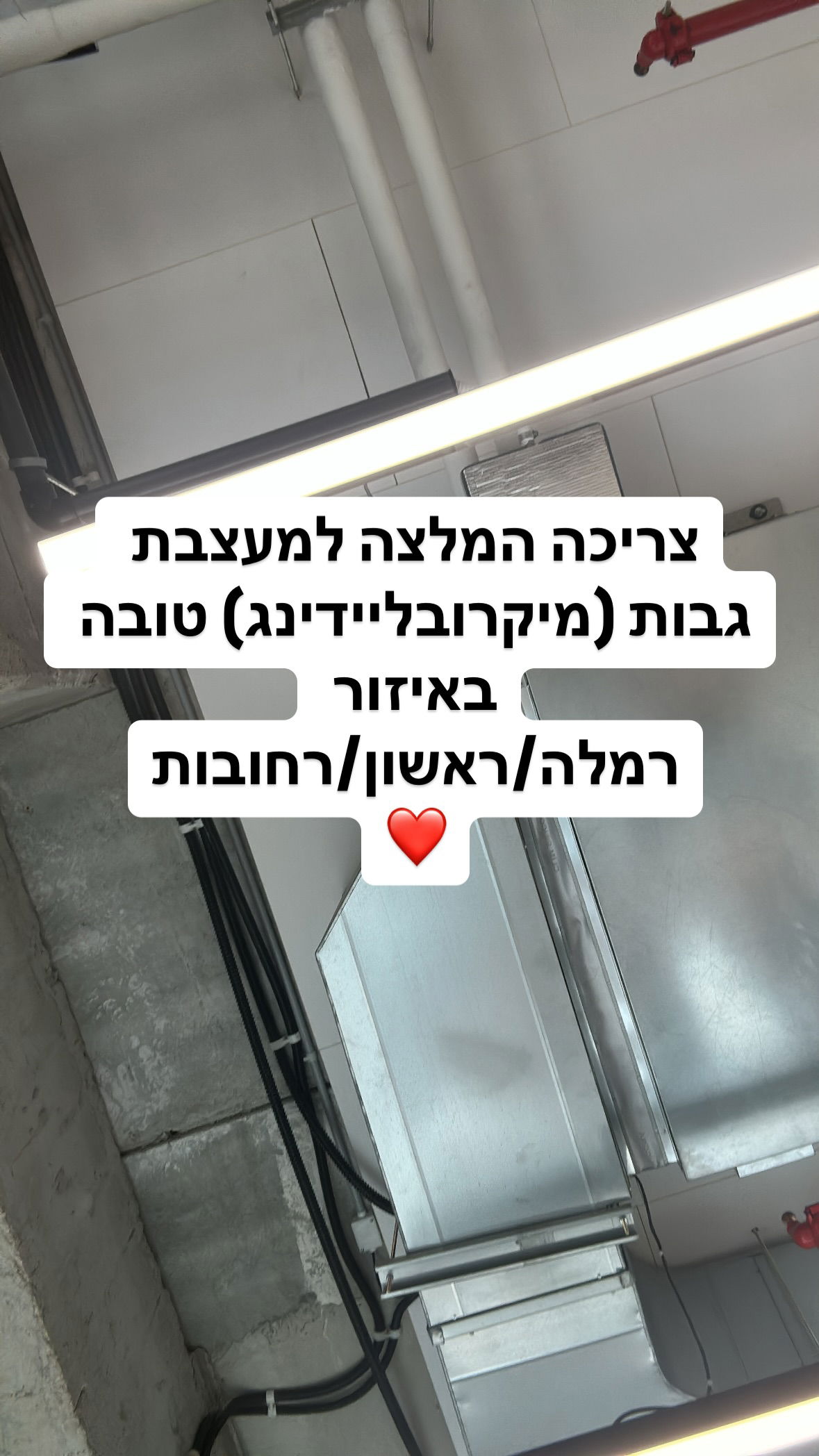 shelly_.mor instagram image archive image