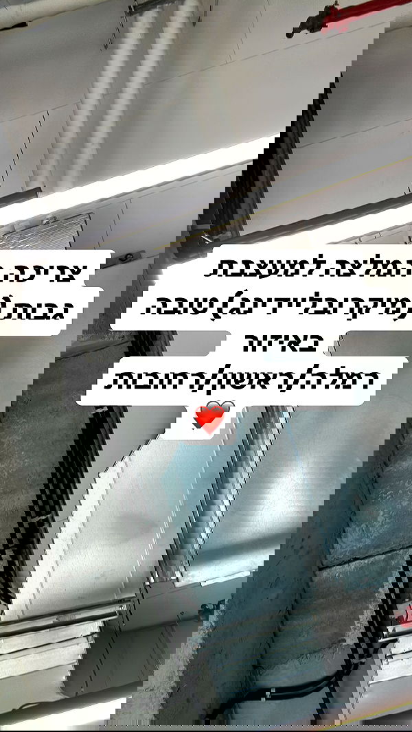 shelly_.mor image ~ Altpins