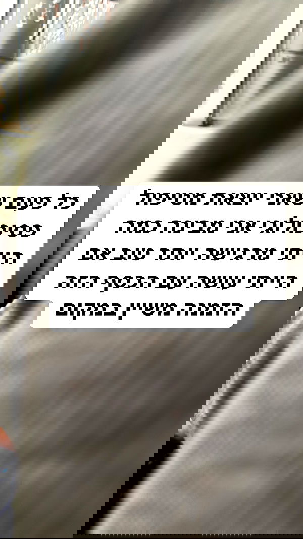 shelly_.mor image ~ Altpins