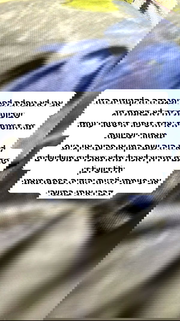 shelly_.mor image ~ Altpins