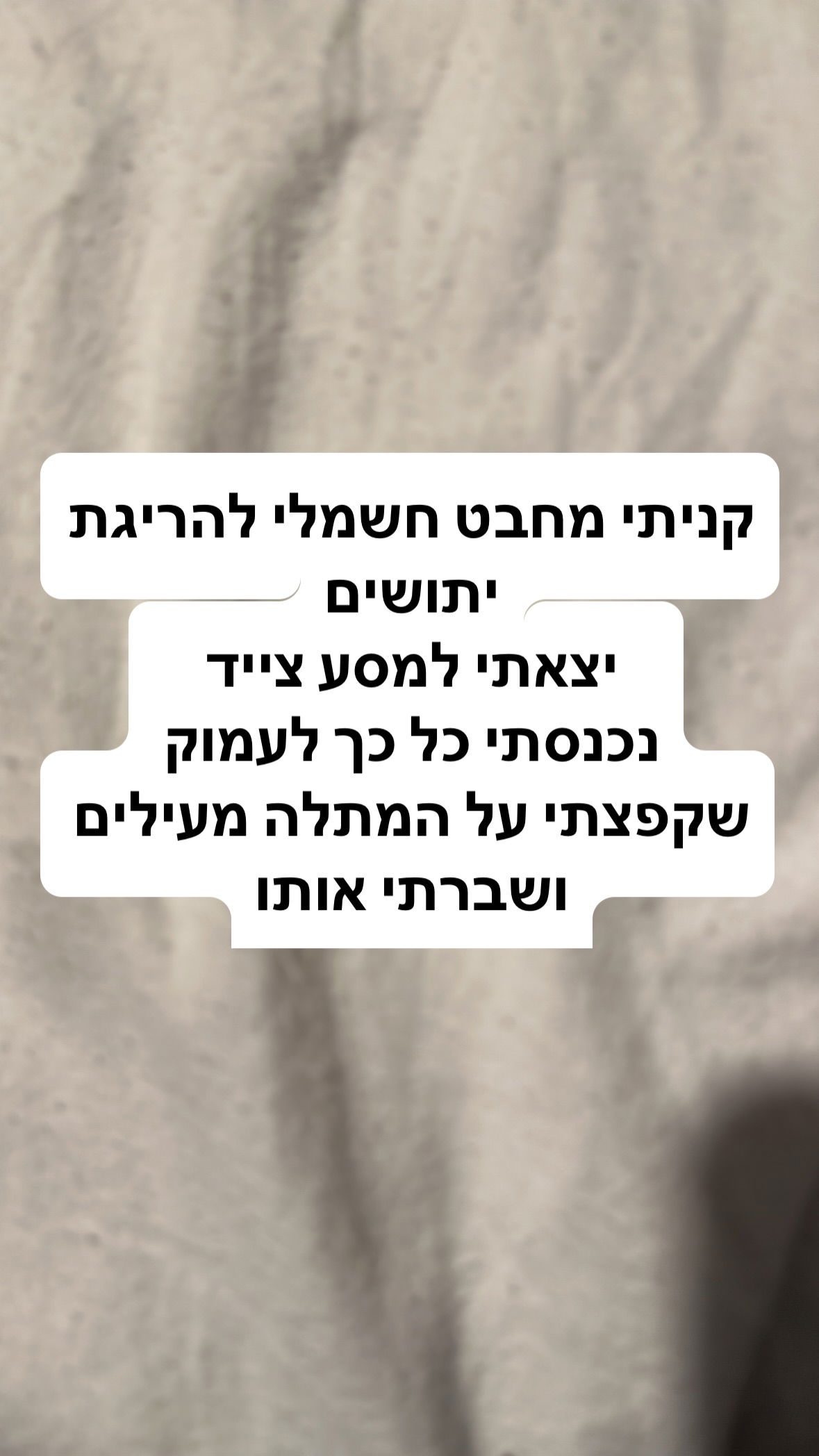 shelly_.mor instagram image archive image