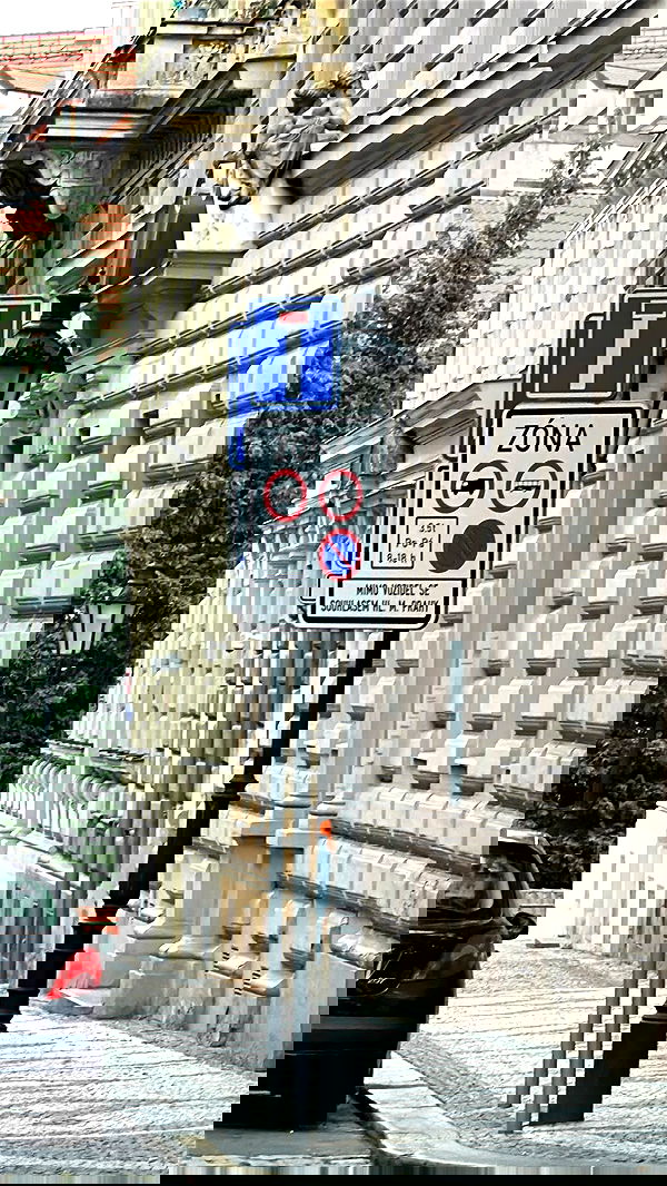 shelly_.mor image ~ Altpins