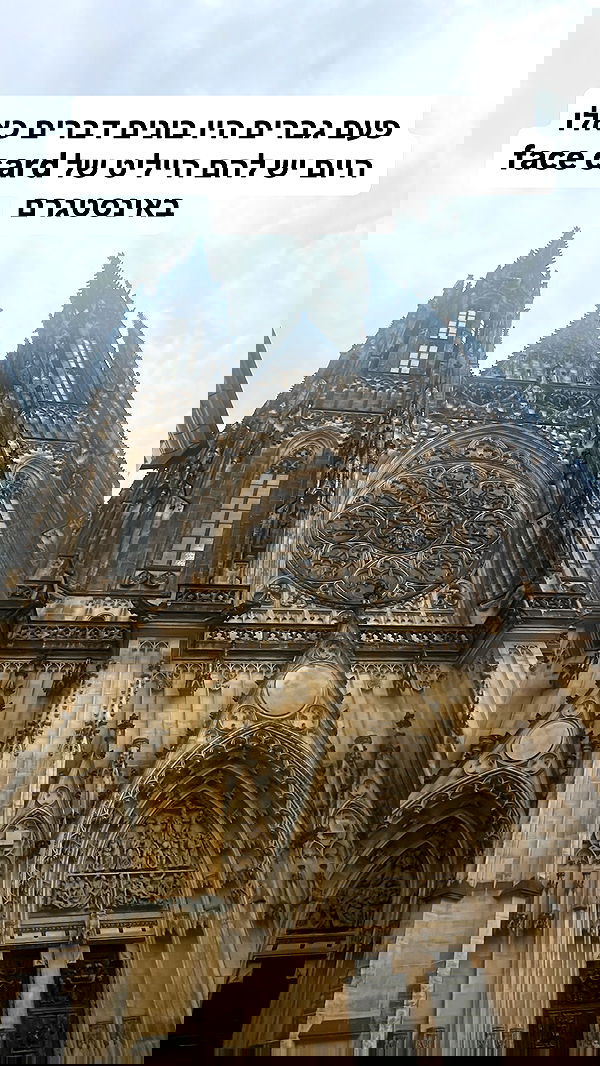 shelly_.mor image ~ Altpins