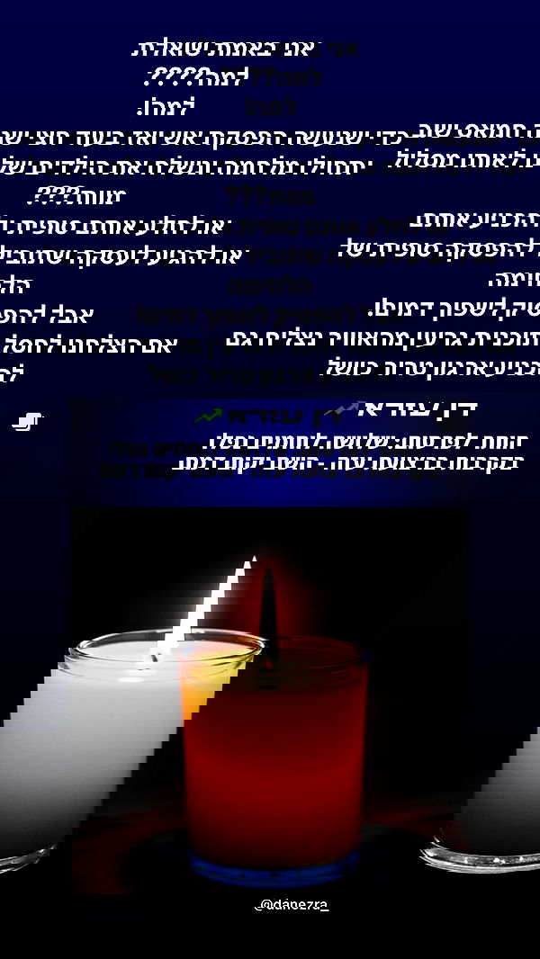 shelly_.mor image ~ Altpins