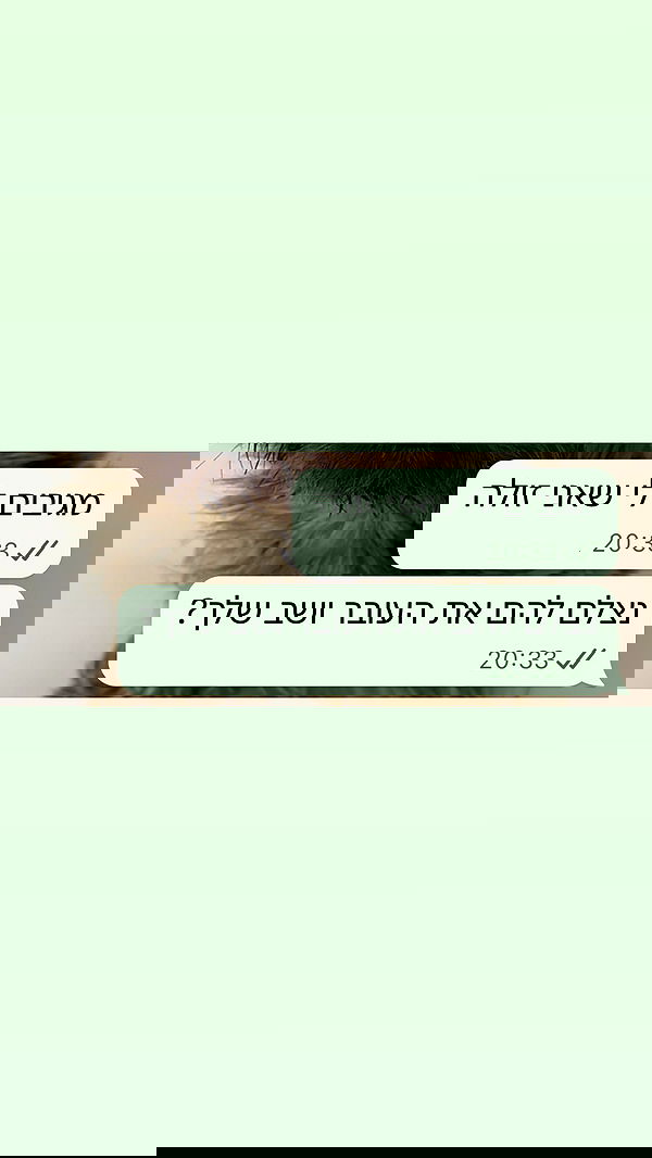 shelly_.mor image ~ Altpins