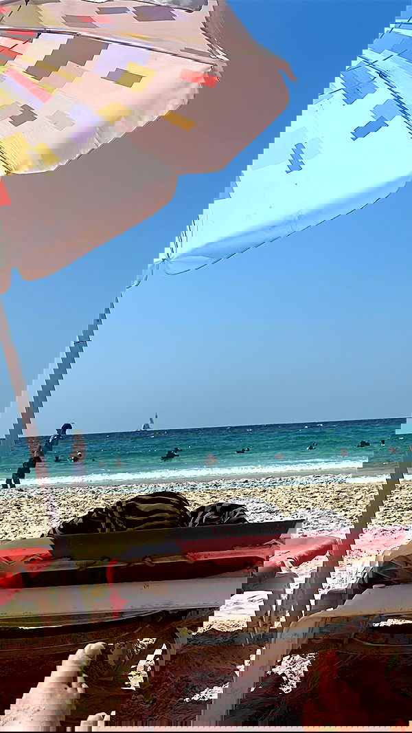 shelly_.mor image ~ Altpins