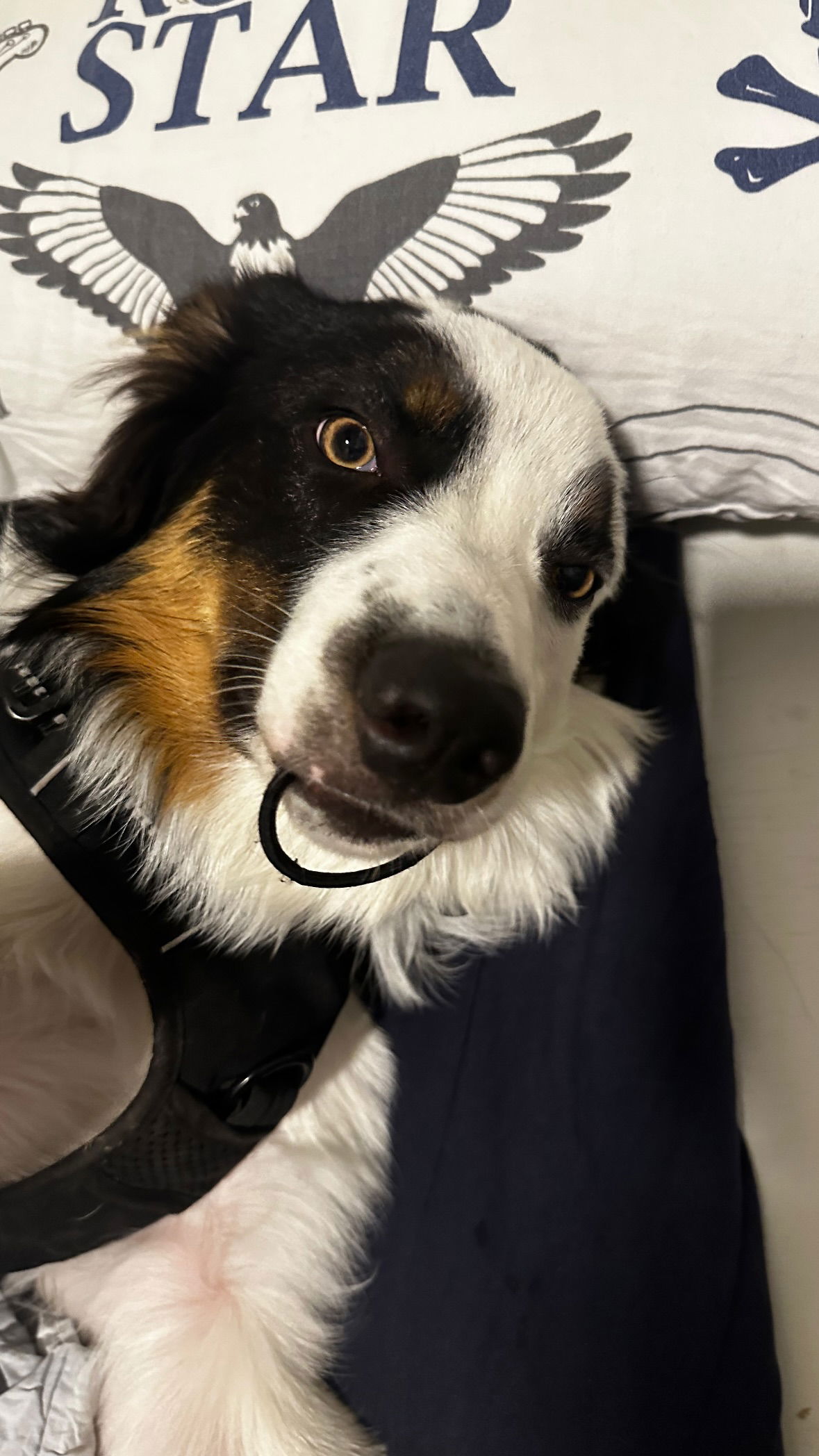 shelly_.mor instagram image archive image