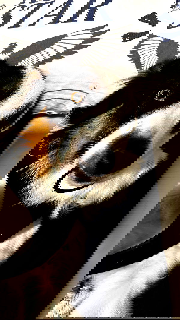 shelly_.mor image ~ Altpins