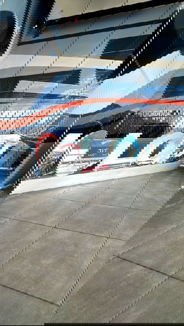 shelly_.mor image ~ Altpins