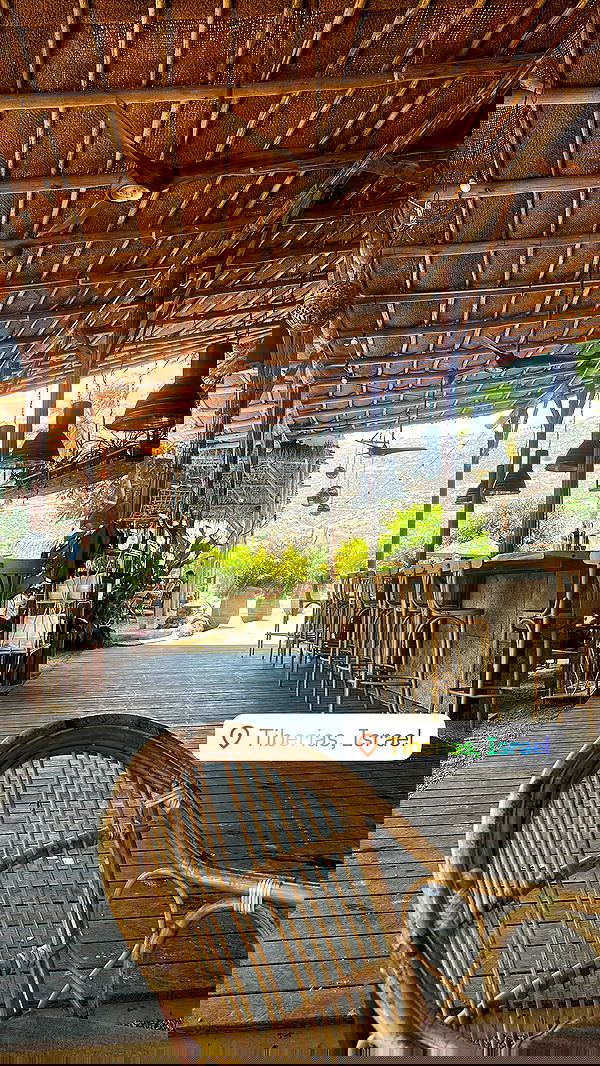 shelly_.mor image ~ Altpins