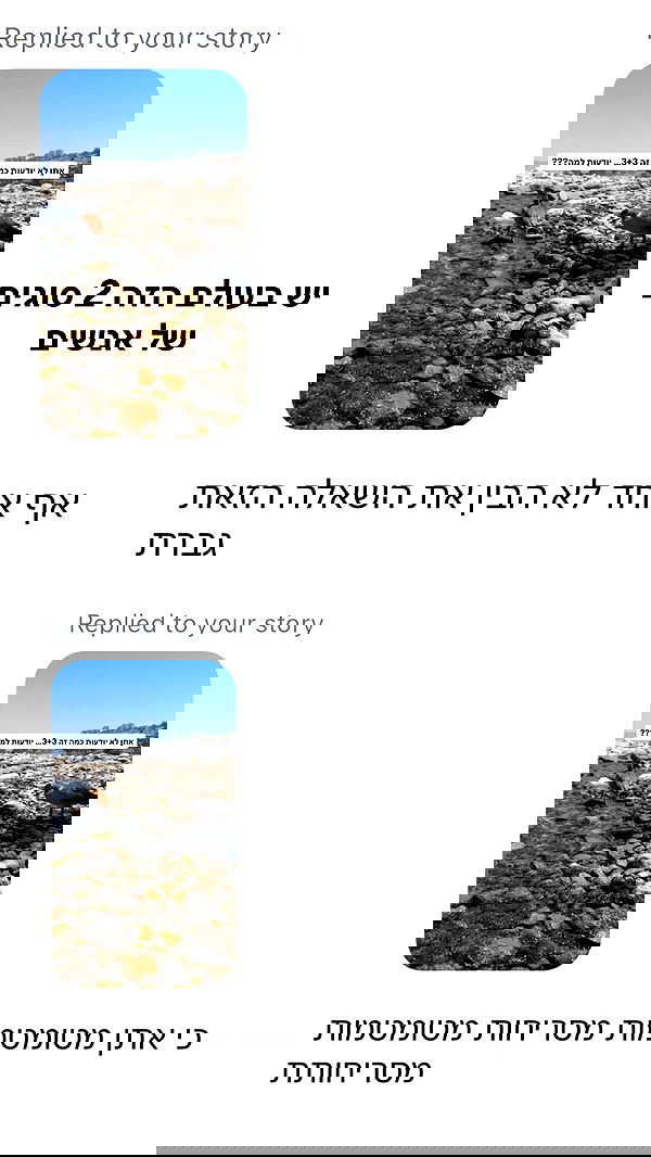 shelly_.mor image ~ Altpins