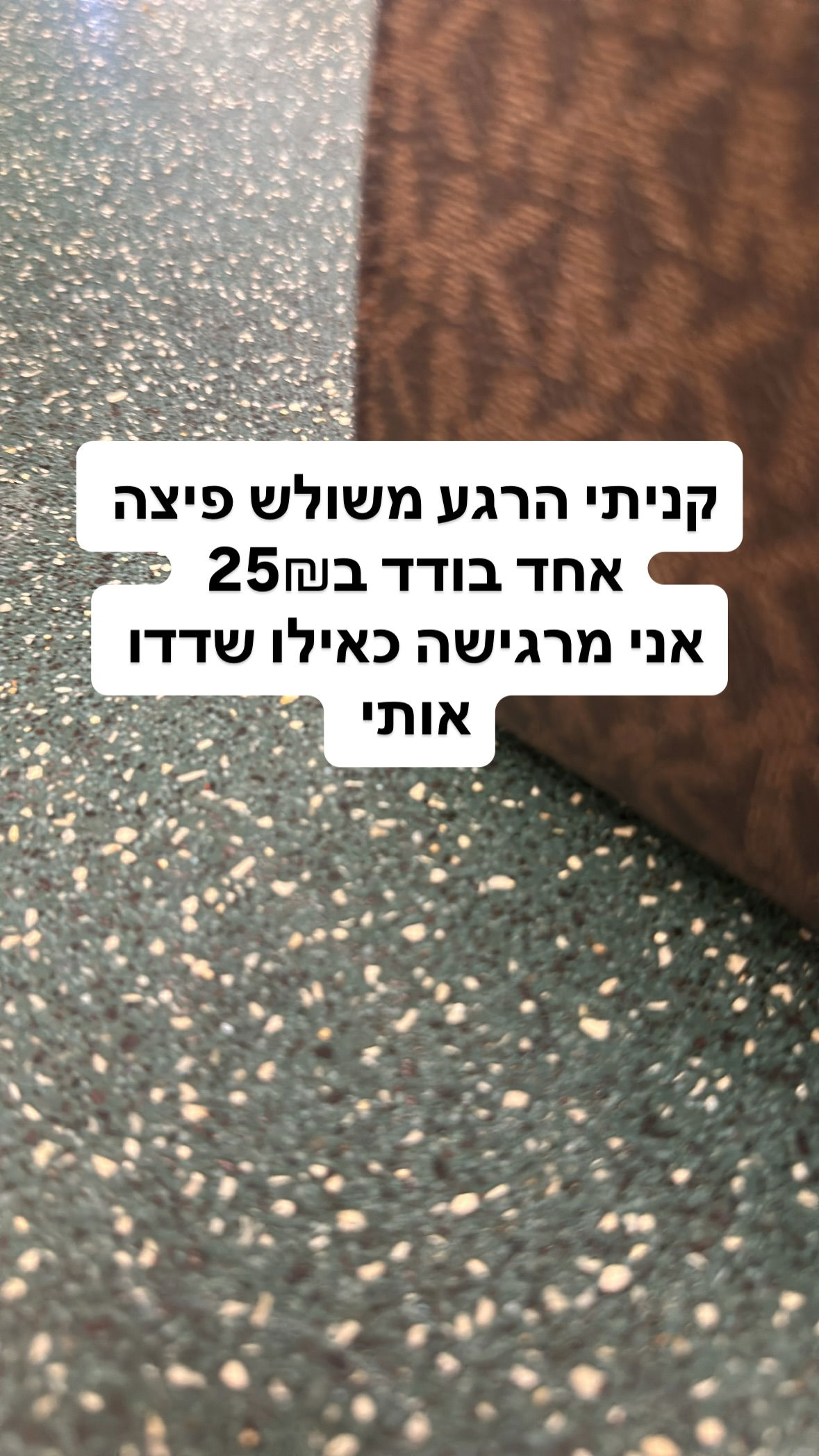 shelly_.mor instagram image archive image