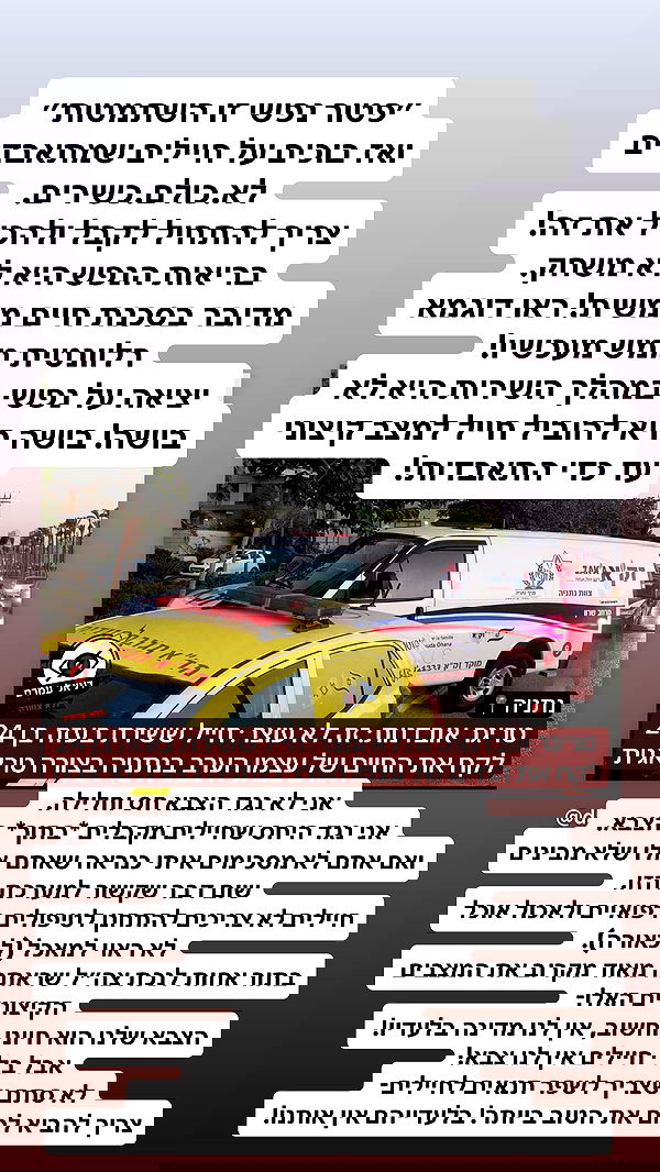 shelly_.mor image ~ Altpins