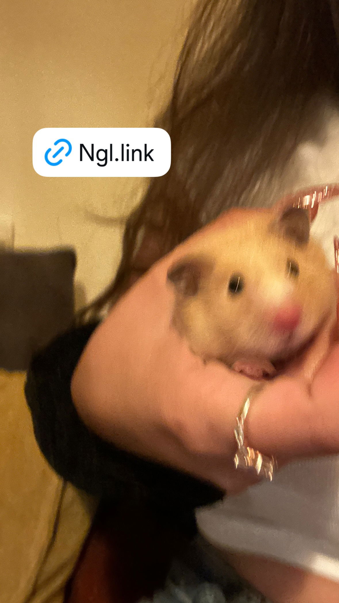 shelly_.mor instagram image archive image