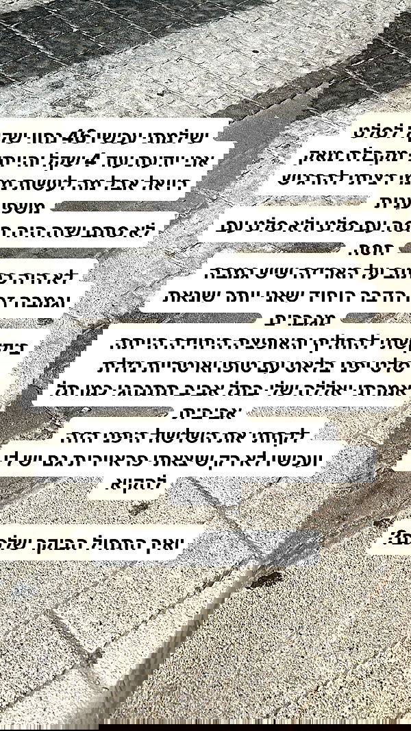 shelly_.mor image ~ Altpins