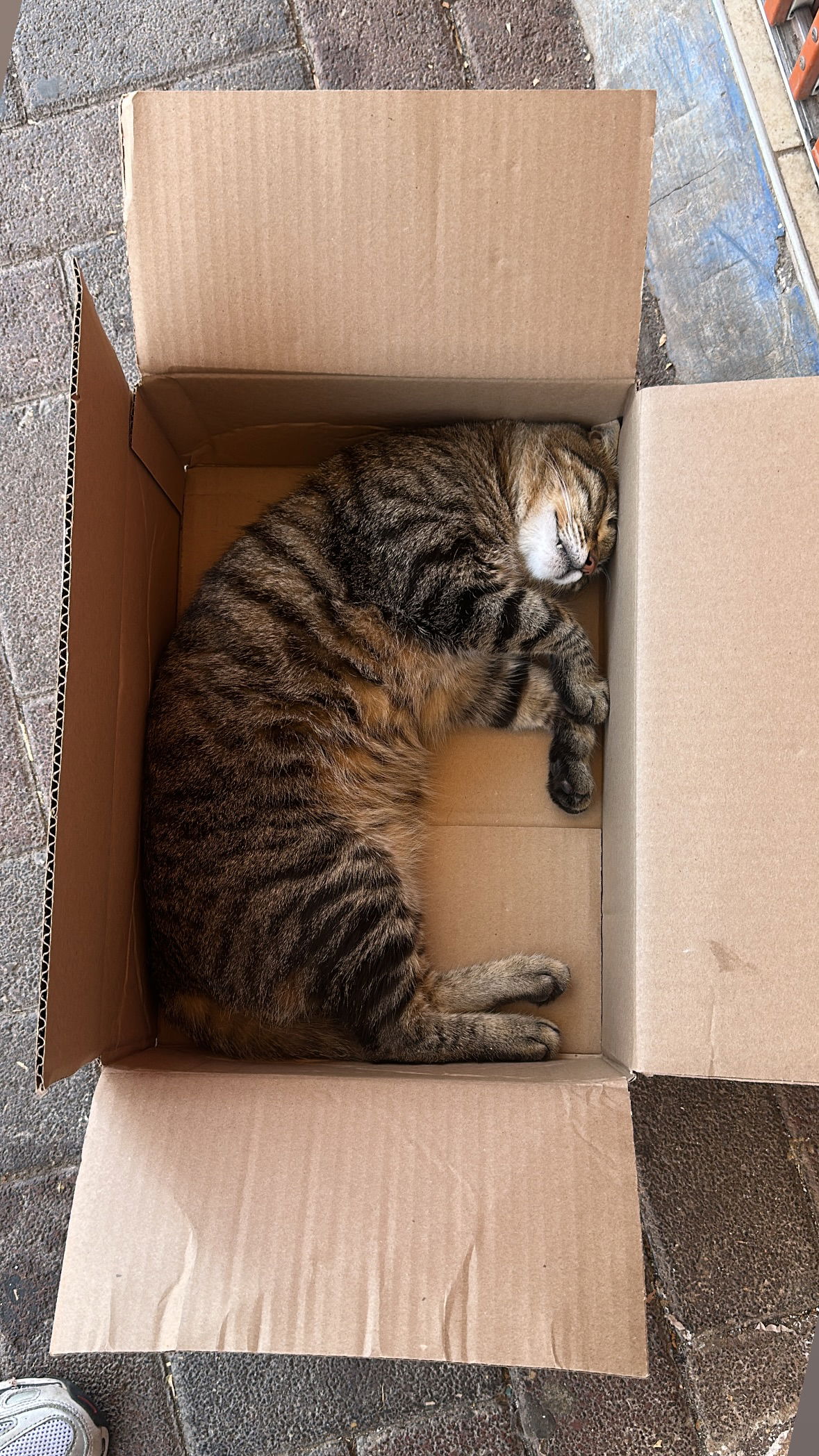 shelly_.mor instagram image archive image