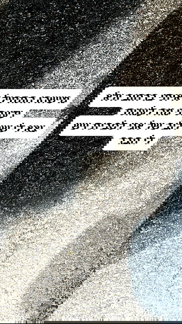 shelly_.mor image ~ Altpins