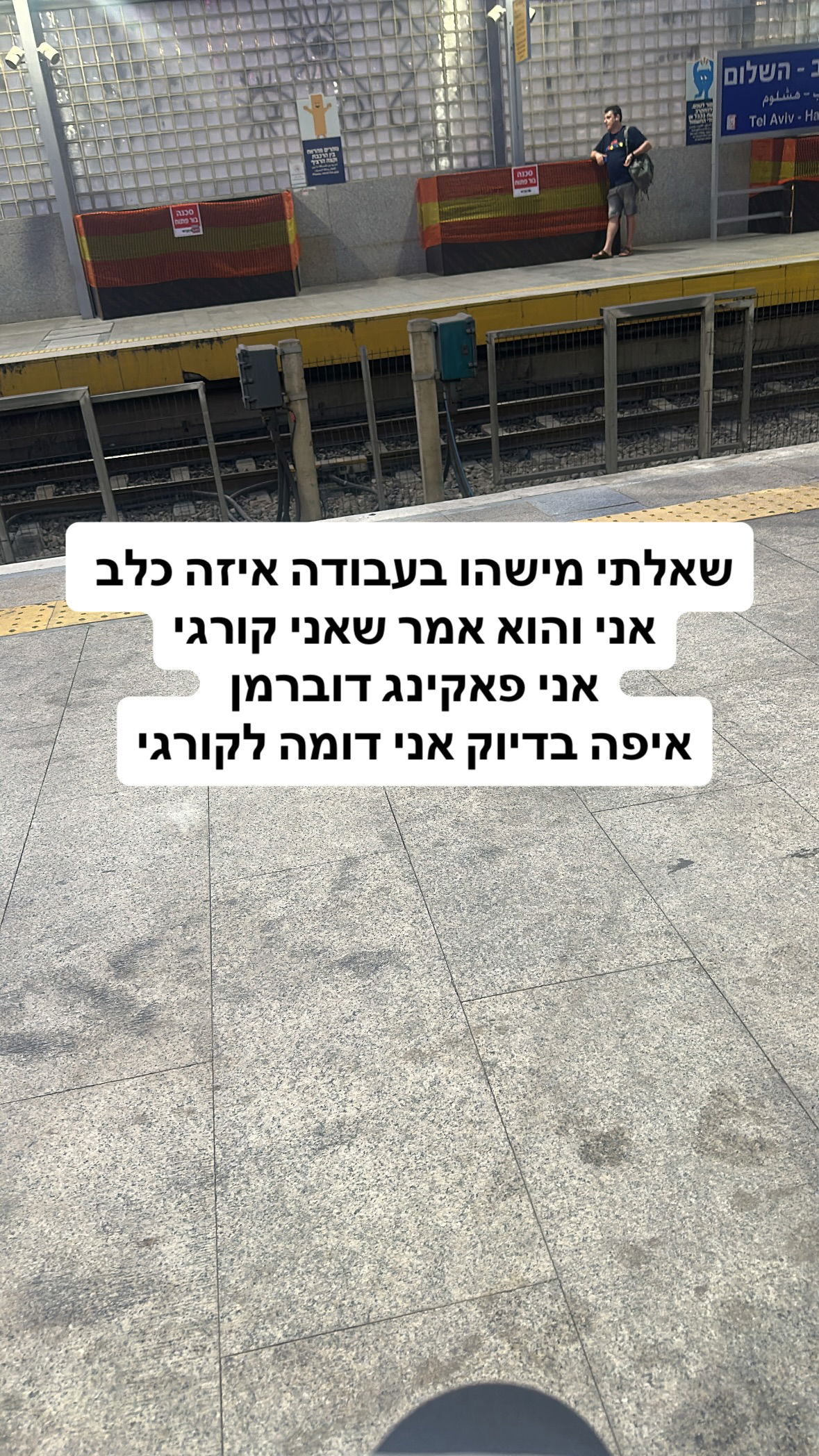 shelly_.mor instagram image archive image