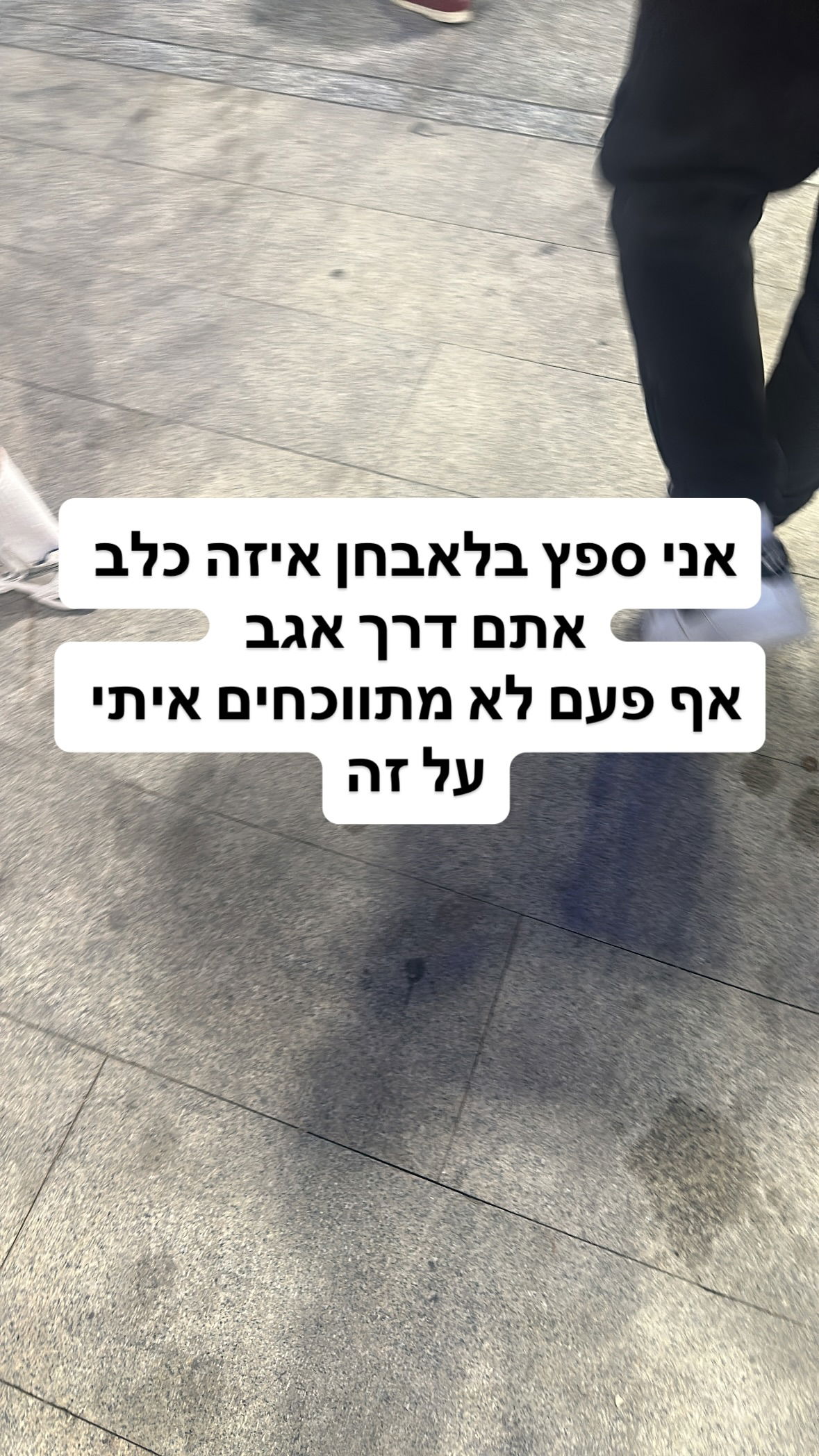 shelly_.mor instagram image archive image