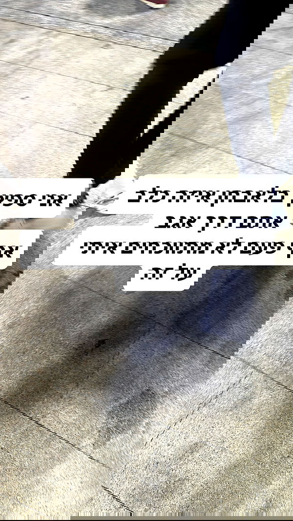 shelly_.mor image ~ Altpins