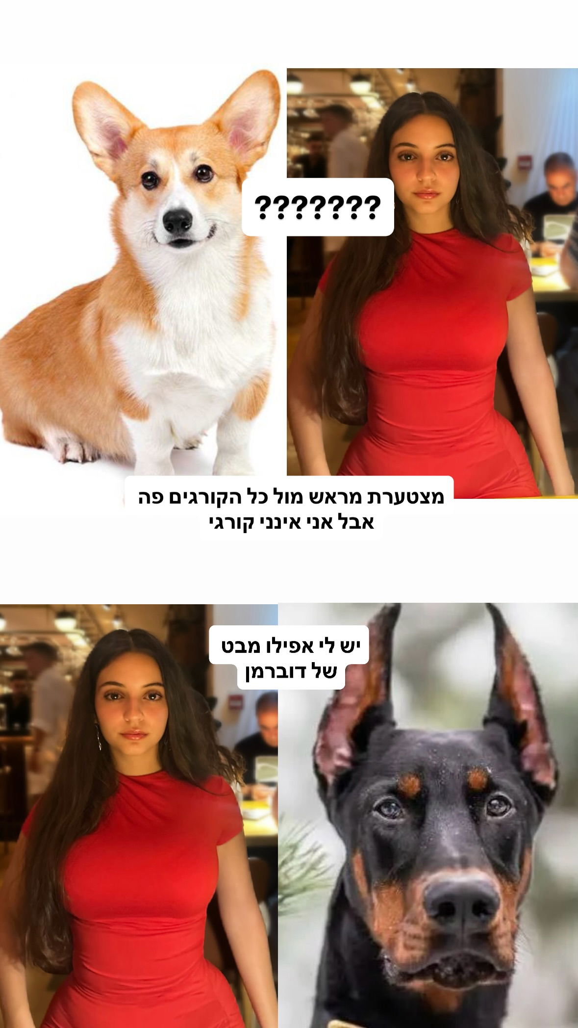 shelly_.mor instagram image archive image