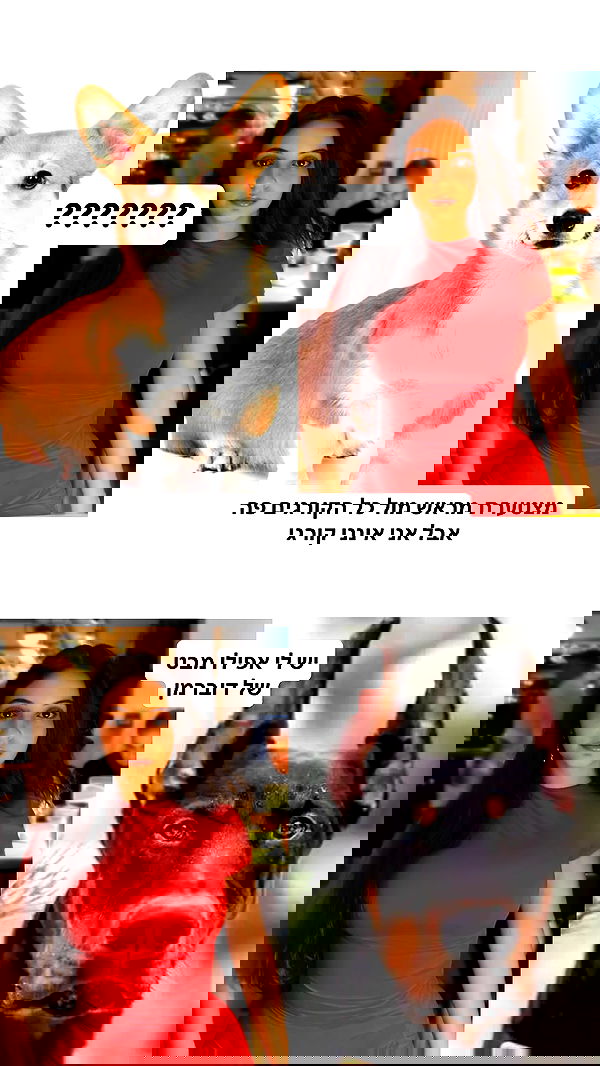 shelly_.mor image ~ Altpins