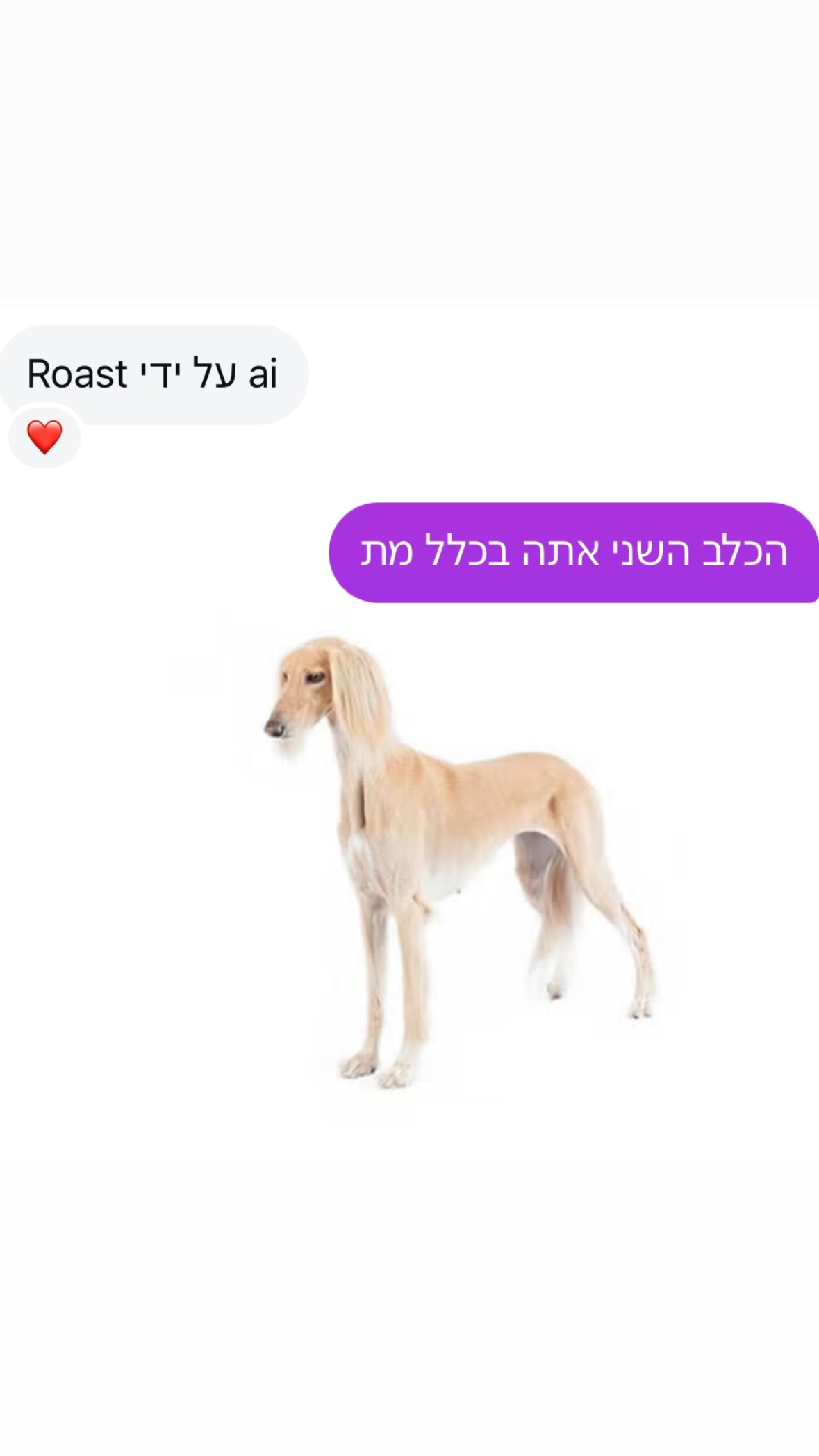 shelly_.mor instagram image archive image