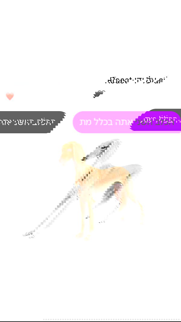 shelly_.mor image ~ Altpins