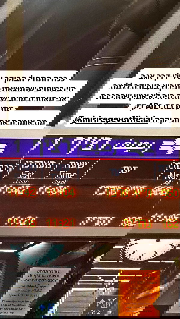 shelly_.mor image ~ Altpins