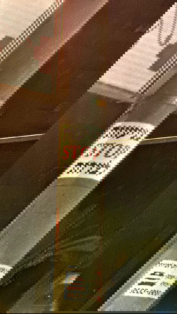 shelly_.mor image ~ Altpins